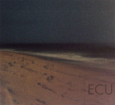 Color photograph taken at night along a Southampton beach in New York off the Atlantic Ocean with a full moon in an impressionistic style