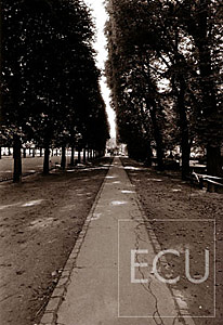 Black and white photo of the Luxembourg gardens taken in the 6th arrondisement in Paris, France